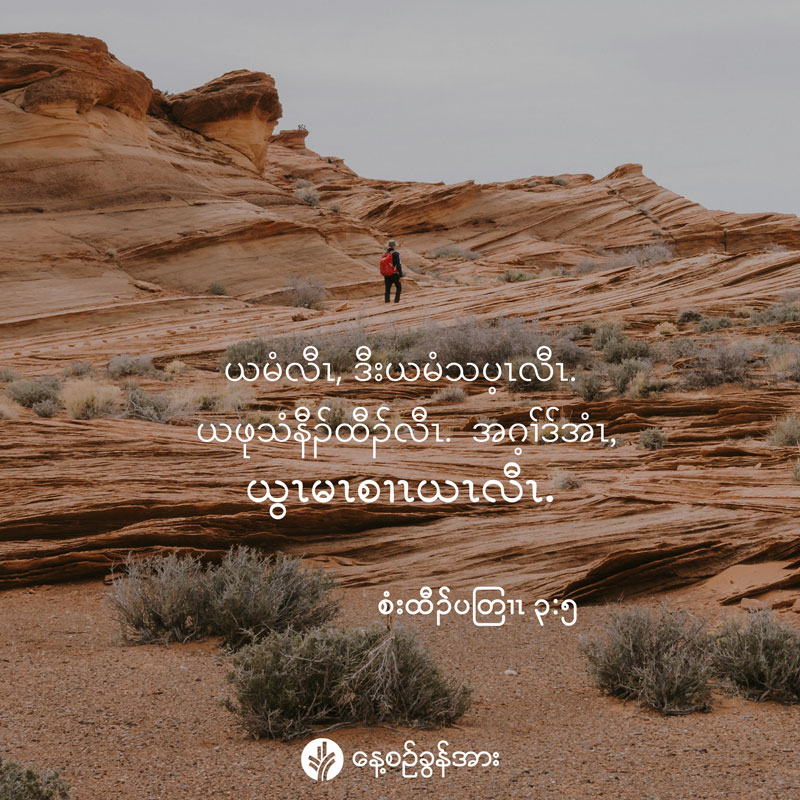 share_odb_2025-06-30-ky