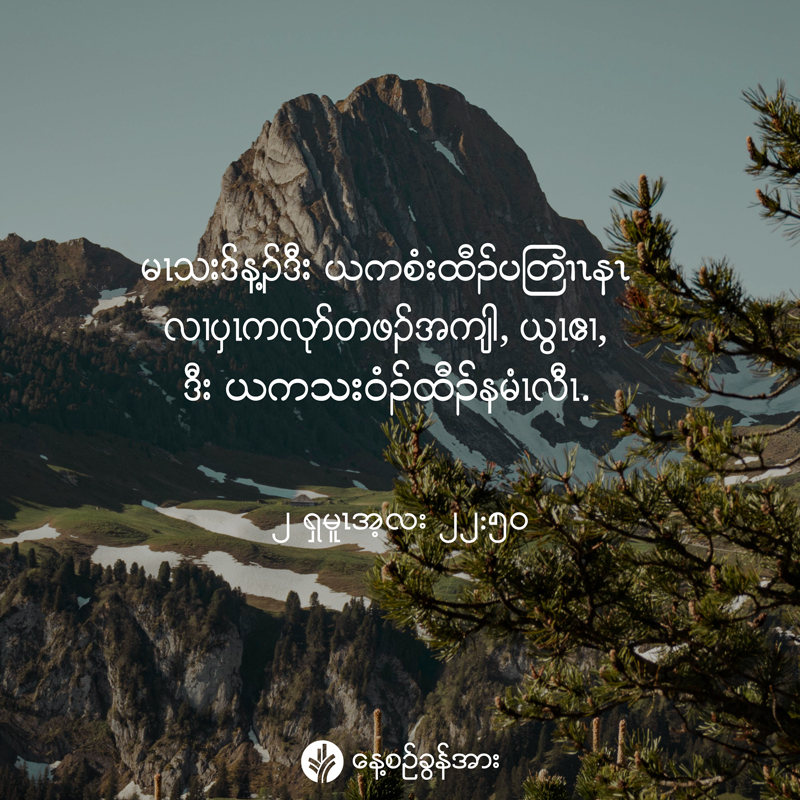 share_odb_2025-07-20-ky