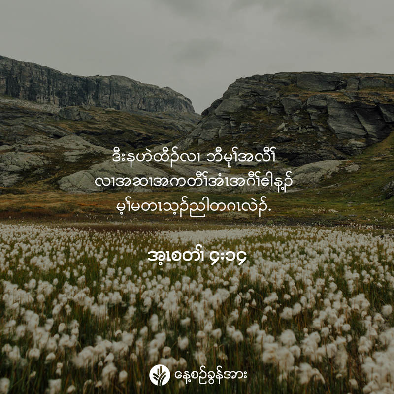 share_odb_2025-07-24-ky