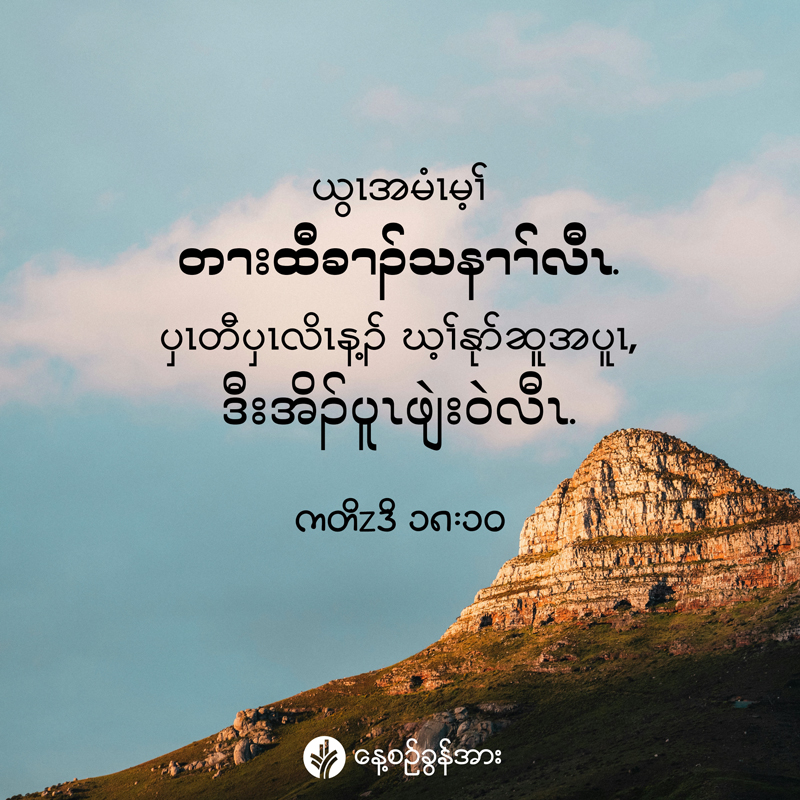 share_odb_2025-07-26-ky