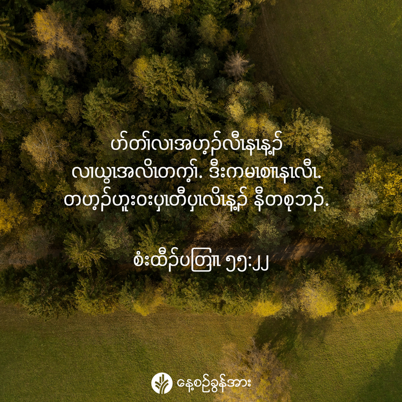 share_odb_2025-07-29-ky