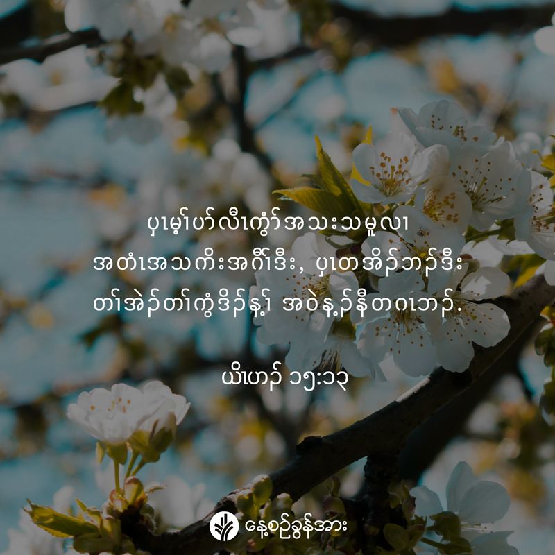 share_odb_2025-07-30-ky