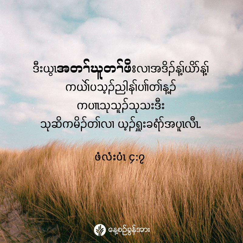 share_odb_2025-08-03-ky