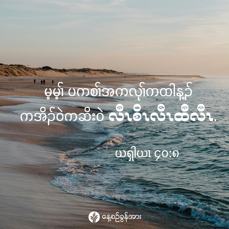 share_odb_2025-08-04-ky