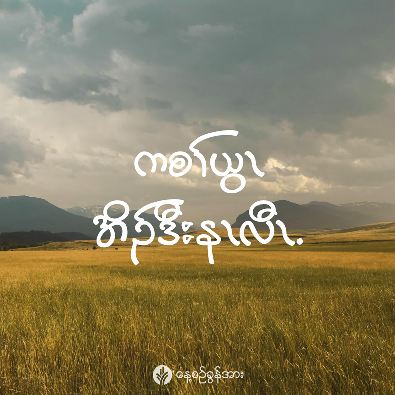 share_odb_2025-08-29-ky