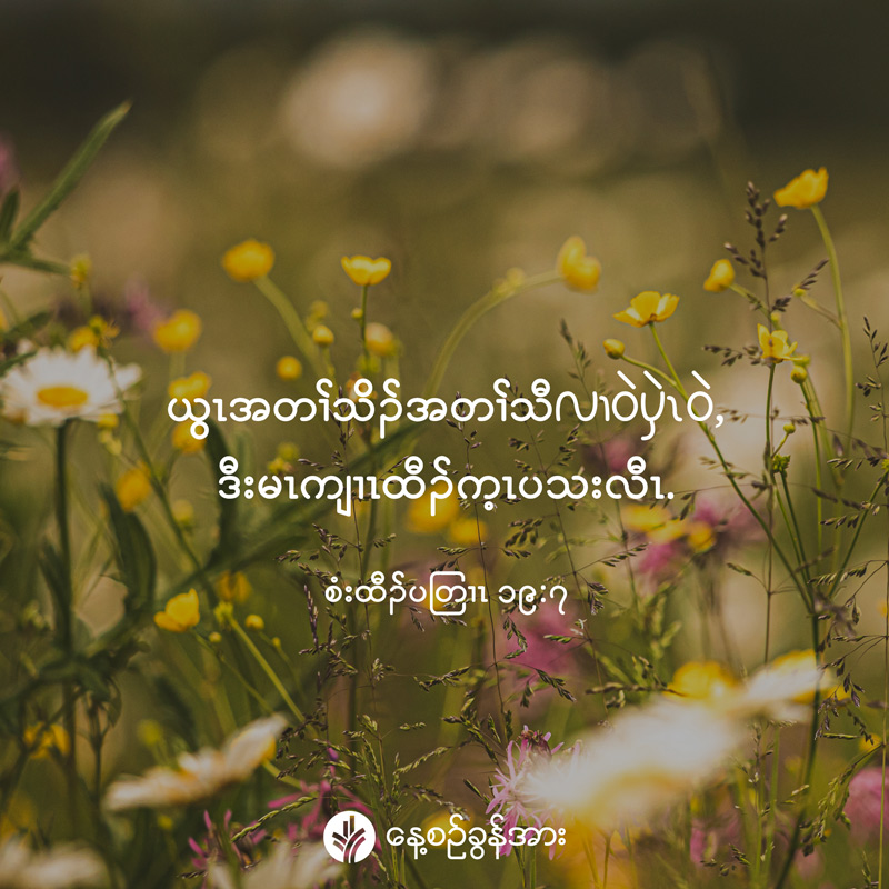 share_odb_2025-09-20-ky