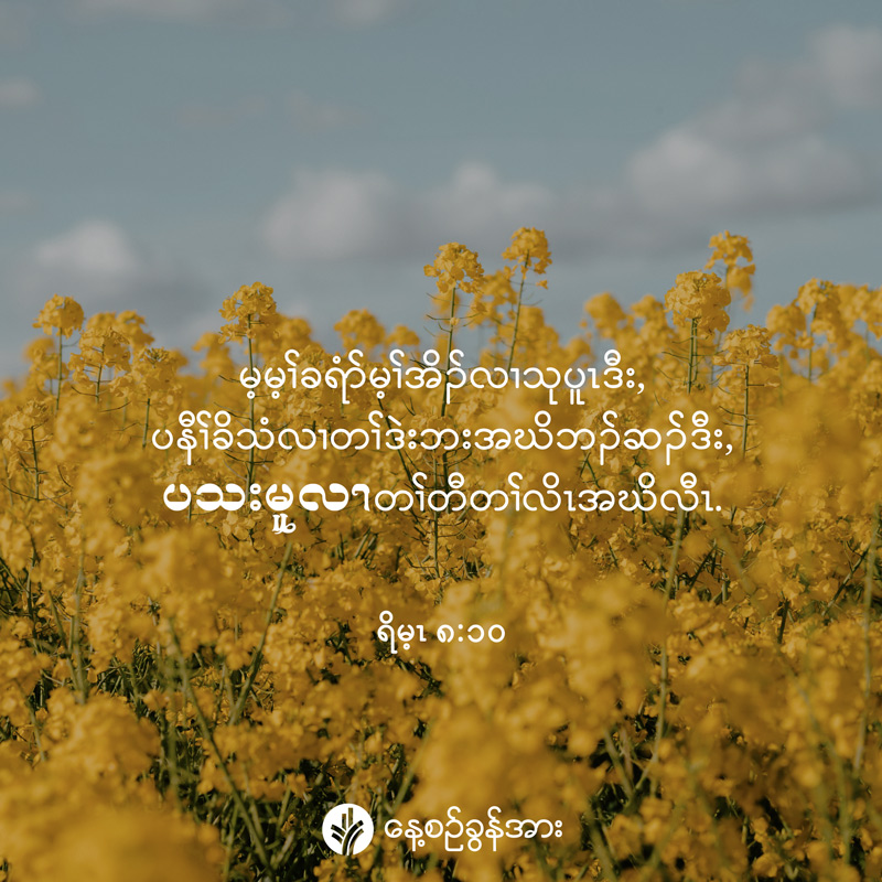 share_odb_2025-09-29-ky