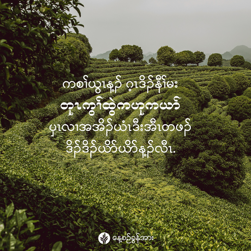 share_odb_2025-10-20-ky