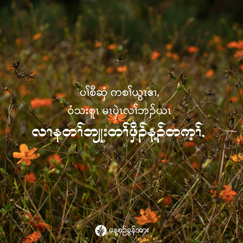 share_odb_2025-10-30-ky