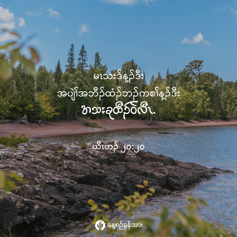 share_odb_2025-11-11-ky