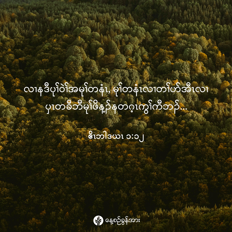 share_odb_2025-11-13-ky share_odb_2025-11-13-ky