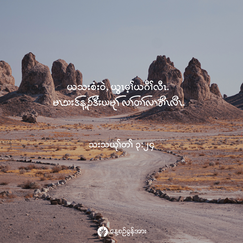 share_odb_2025-11-14-ky share_odb_2025-11-14-ky