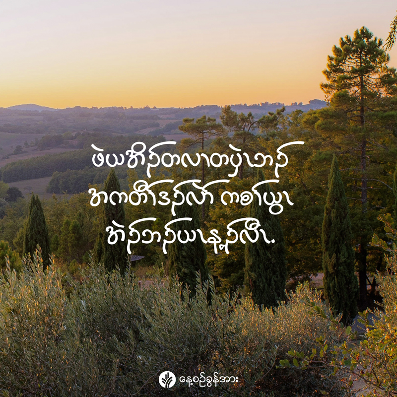 share_odb_2025-11-15-ky