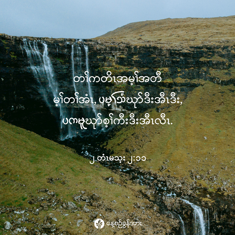 share_odb_2025-11-18-ky