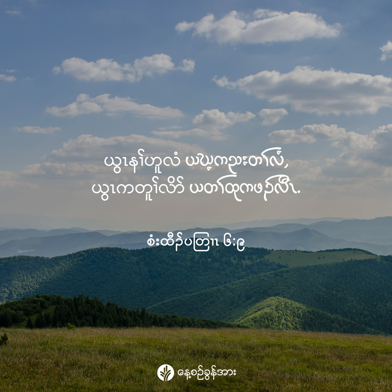 share_odb_2025-11-19-ky