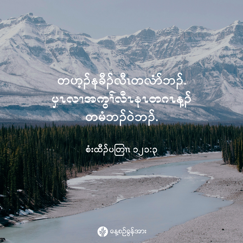 share_odb_2025-11-21-ky