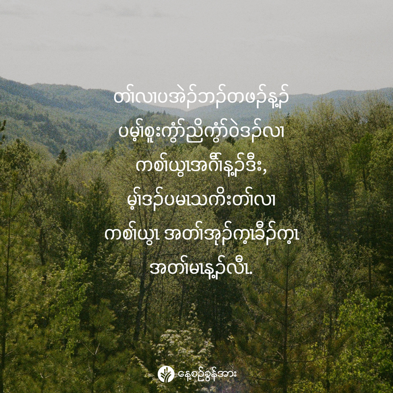 share_odb_2025-11-22-ky share_odb_2025-11-22-ky