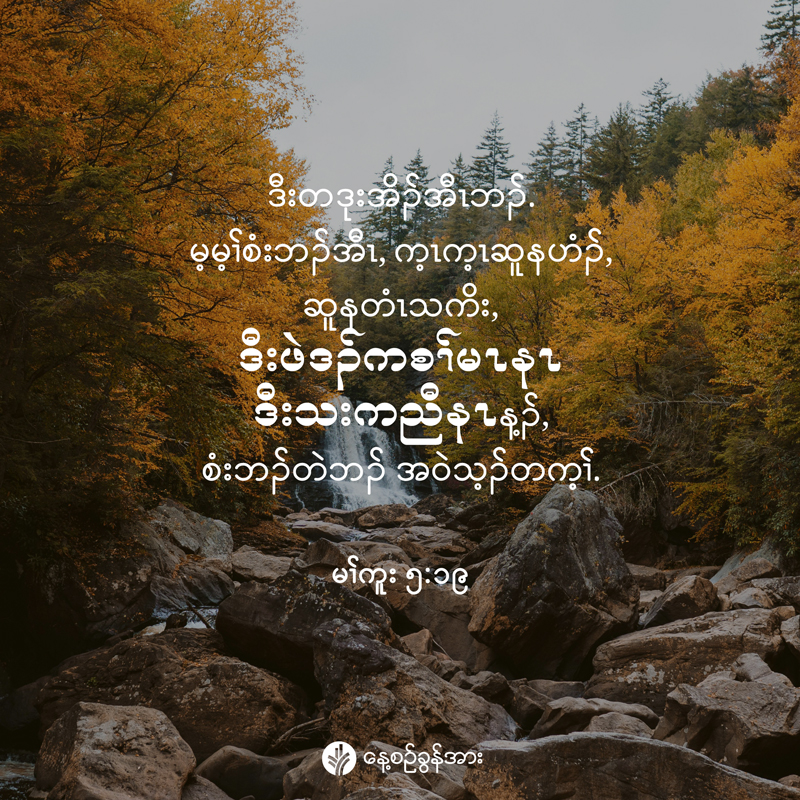 share_odb_2025-11-23-ky share_odb_2025-11-23-ky