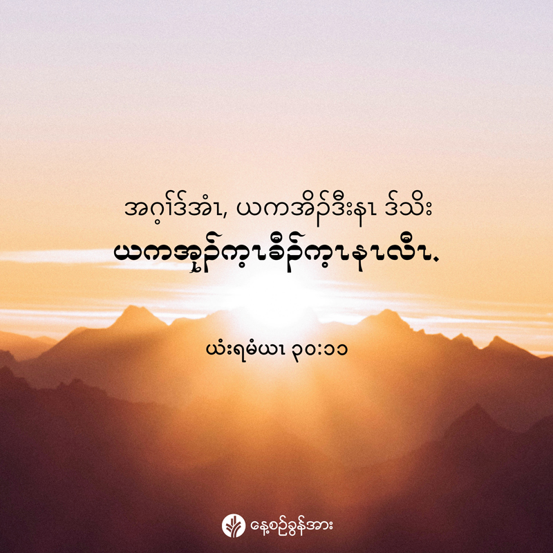 share_odb_2025-11-24-ky