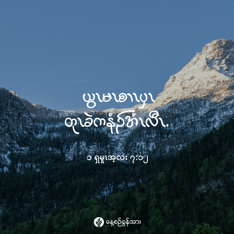 share_odb_2025-11-25-ky