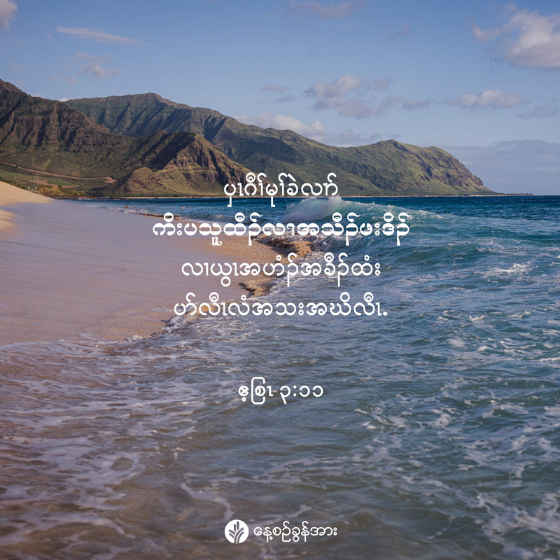 share_odb_2025-11-26-ky