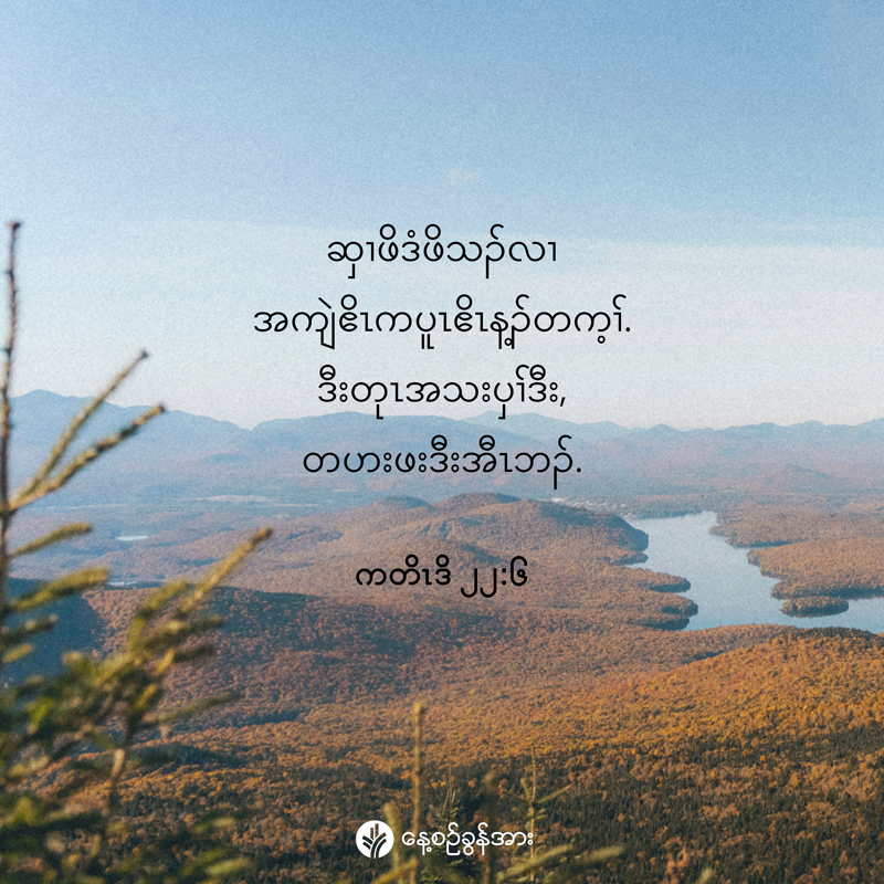 share_odb_2025-11-27-ky