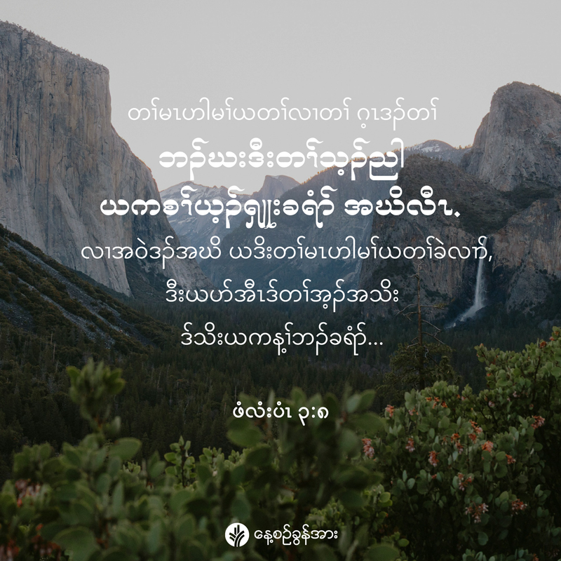 share_odb_2025-11-28-ky