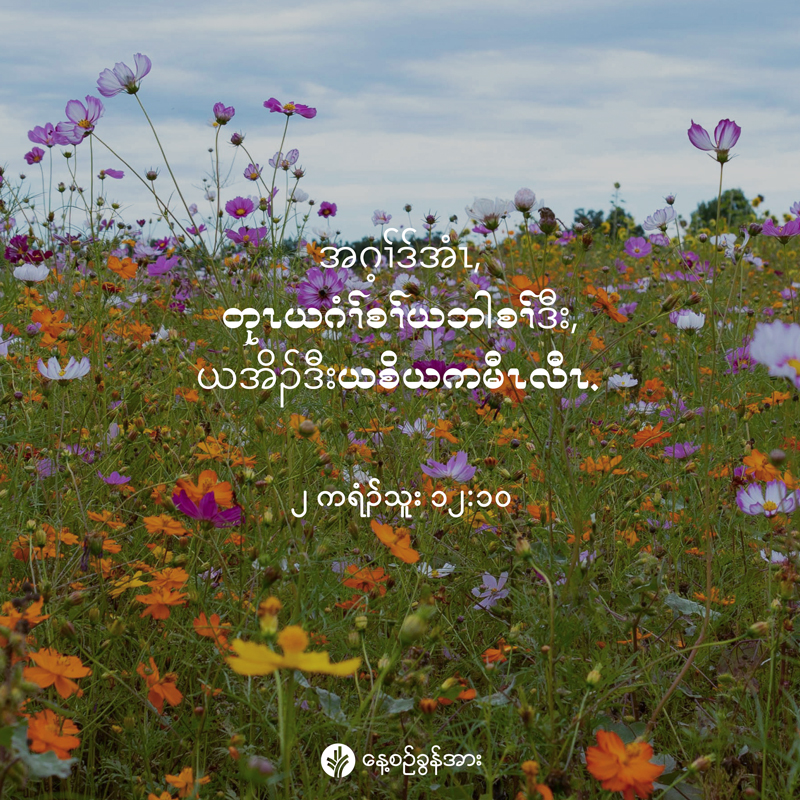 share_odb_2025-11-29-ky