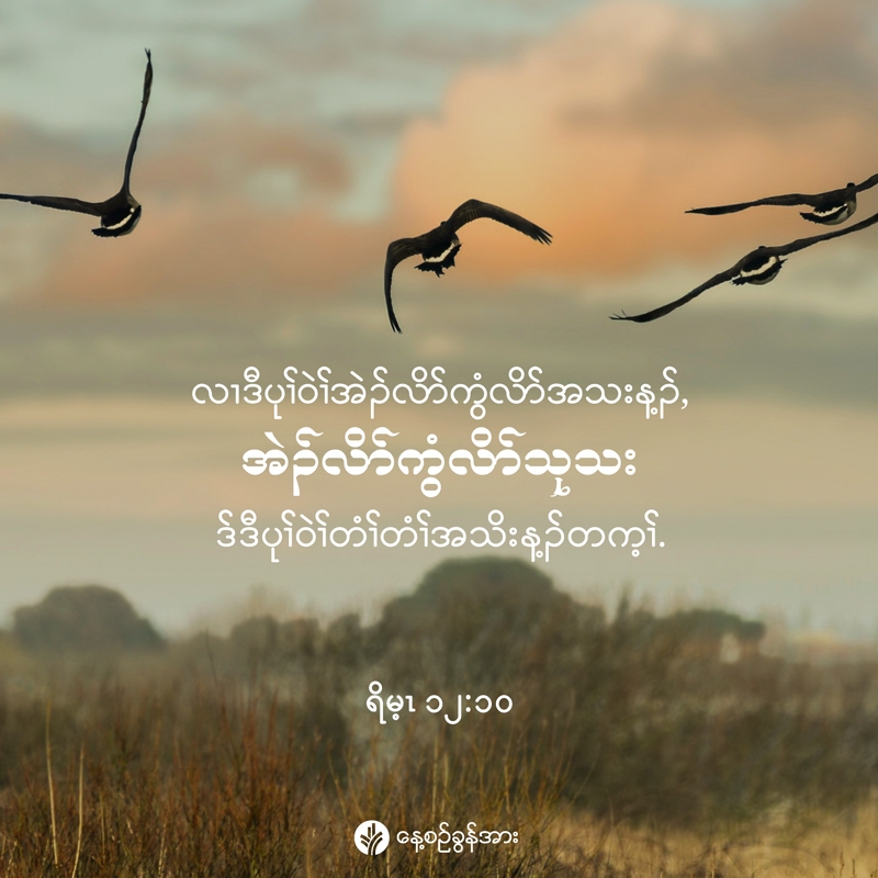 share_odb_2025-12-01-ky share_odb_2025-12-01-ky