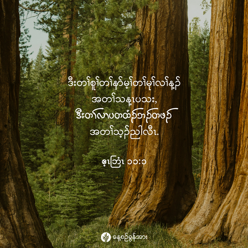 share_odb_2025-12-04-ky share_odb_2025-12-04-ky