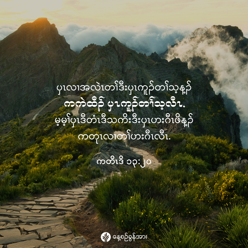 share_odb_2025-12-05-ky