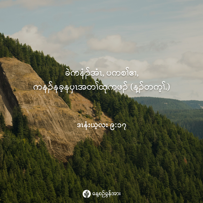 share_odb_2025-12-07-ky