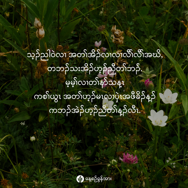 share_odb_2025-12-08-ky