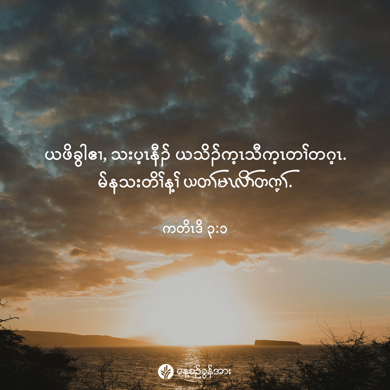 share_odb_2025-12-10-ky