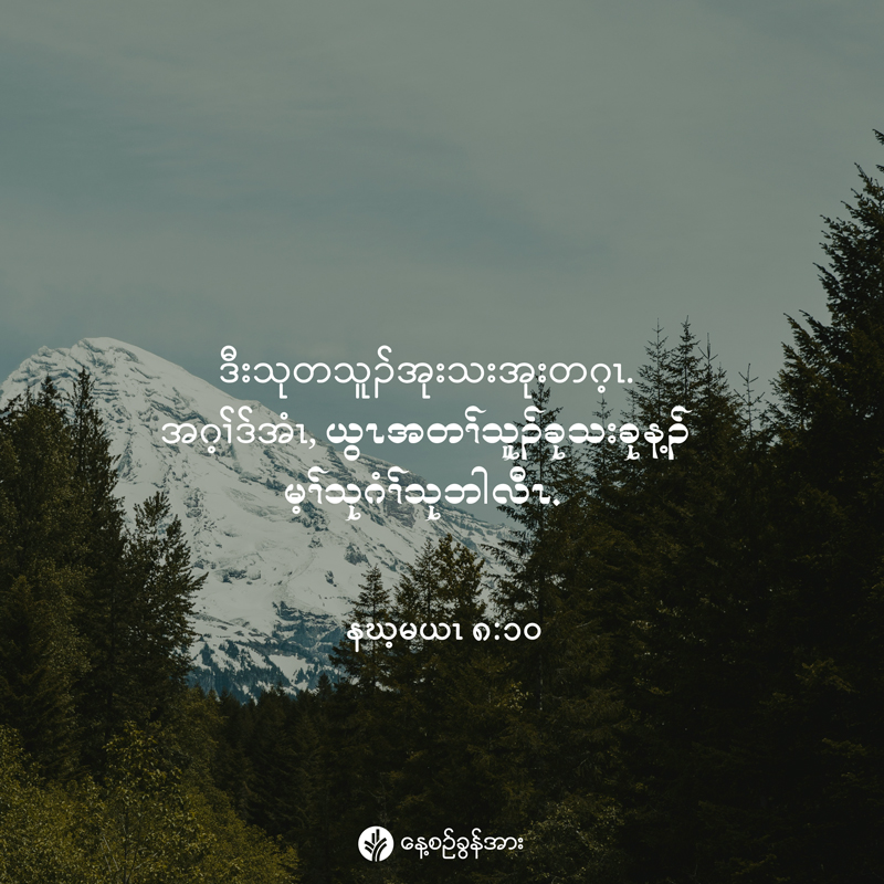 share_odb_2025-12-13-ky