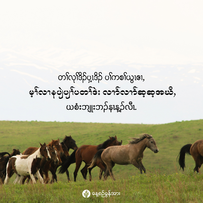 share_odb_2025-12-15-ky share_odb_2025-12-15-ky