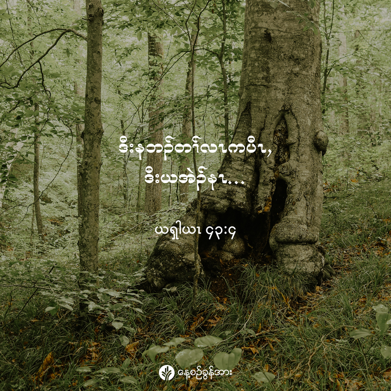 share_odb_2025-12-17-ky share_odb_2025-12-17-ky