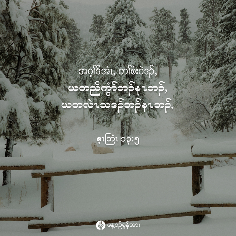 share_odb_2025-12-20-ky