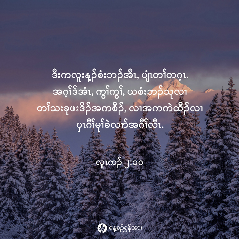 share_odb_2025-12-24-ky share_odb_2025-12-24-ky