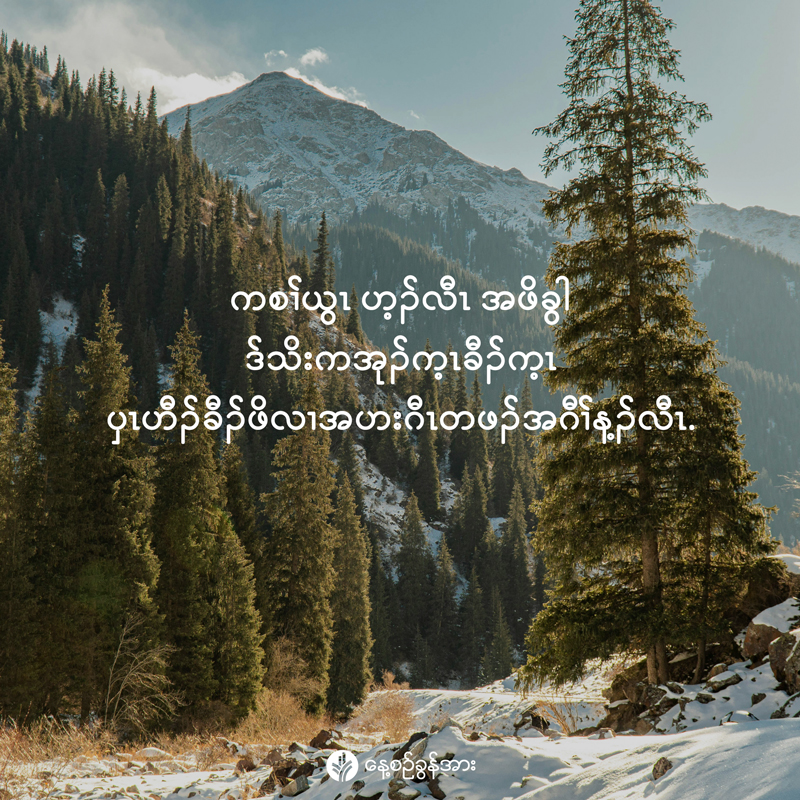 share_odb_2025-12-25-ky share_odb_2025-12-25-ky