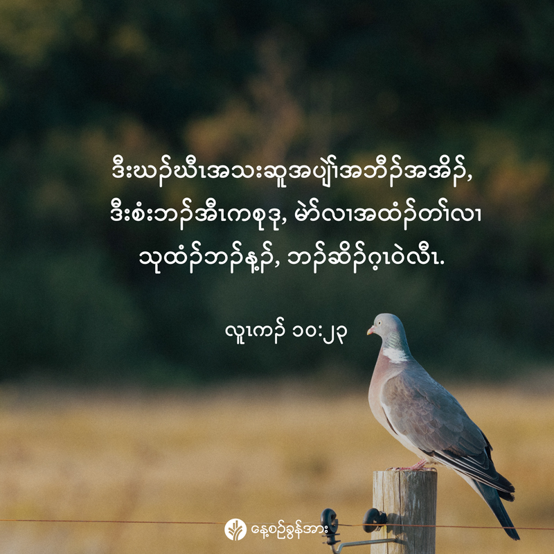 share_odb_2025-12-26-ky