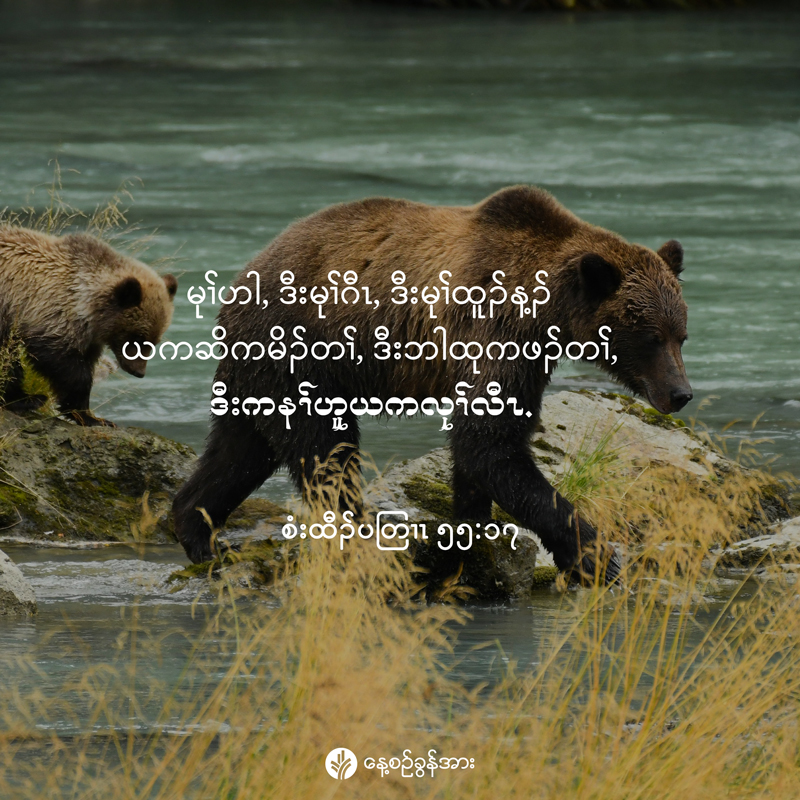 share_odb_2025-12-27-ky