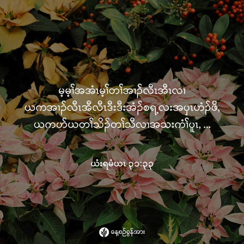 share_odb_2025-12-28-ky