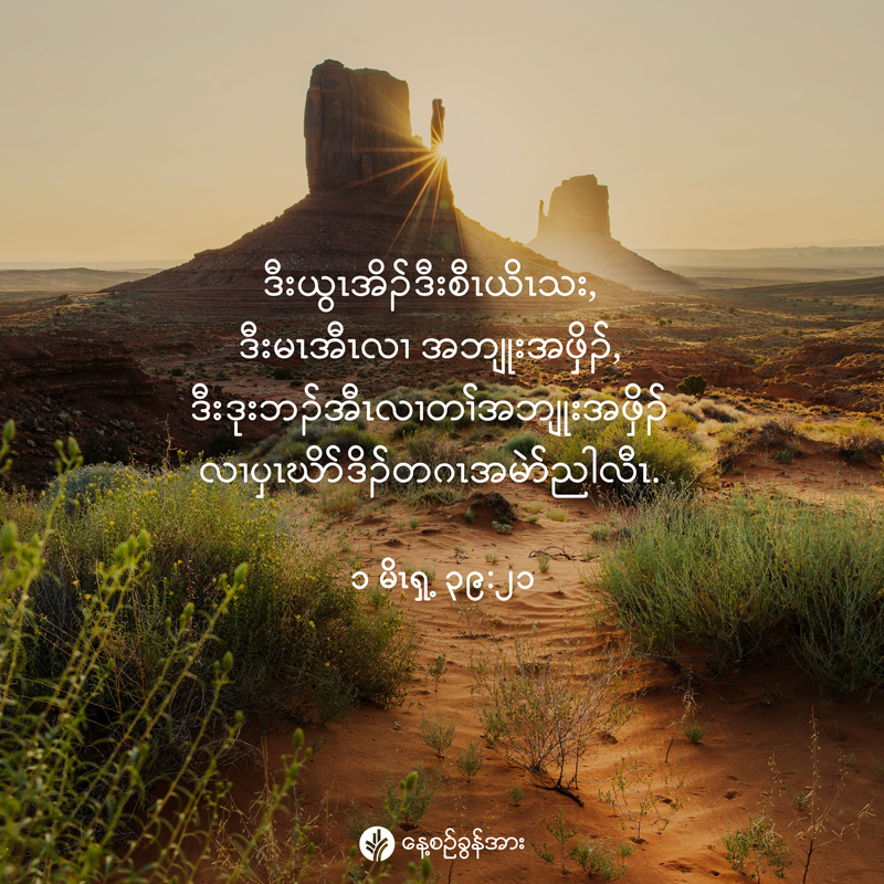 share_odb_2025-12-30-ky