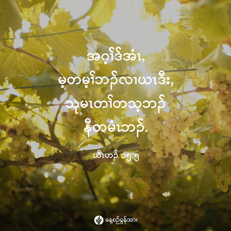 share_odb_2025-12-31-ky