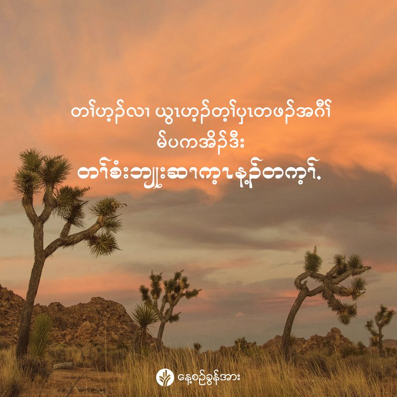 share_odb_2026-01-11-ky