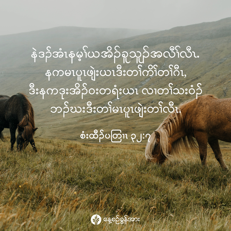 share_odb_2026-01-12-ky