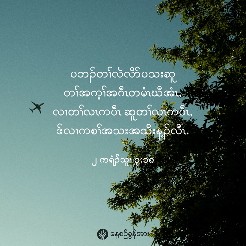 share_odb_2026-01-25-ky