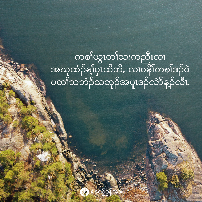 share_odb_2026-01-26-ky