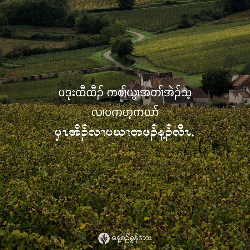 share_odb_2026-01-28-ky